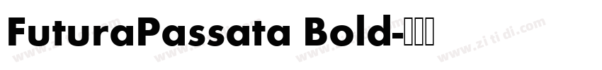 FuturaPassata Bold字体转换